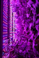 Music & Event Venue w/ Distillery On-Site! - Image 15