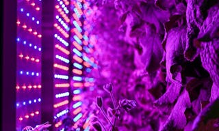 Music & Event Venue w/ Distillery On-Site! - Image 15