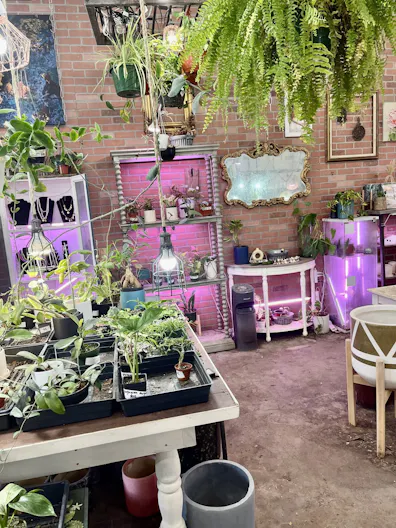 Boutique and florist shop at Union Street Schenectady - Image 0