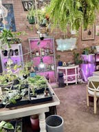 Boutique and florist shop at Union Street Schenectady - Image 0