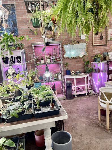 Boutique and florist shop at Union Street Schenectady - Image 0