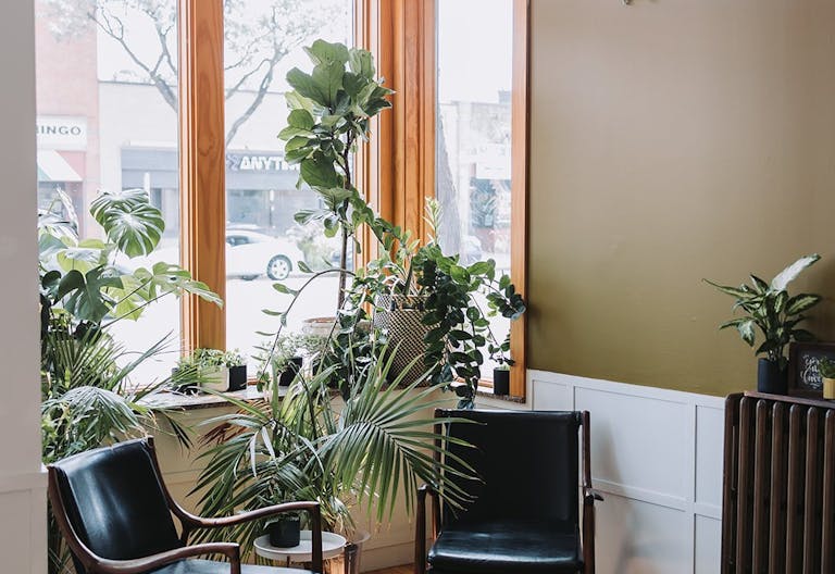 A Gem in NE Minneapolis - Image 2