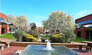 Spacious , quiet and clean room 124 at University of San Jose - Image 9