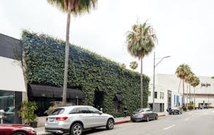 Greenery Covered Store in Beverly Hills - Image 9
