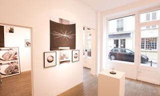 Classic Showroom in Le Marais - Image 5