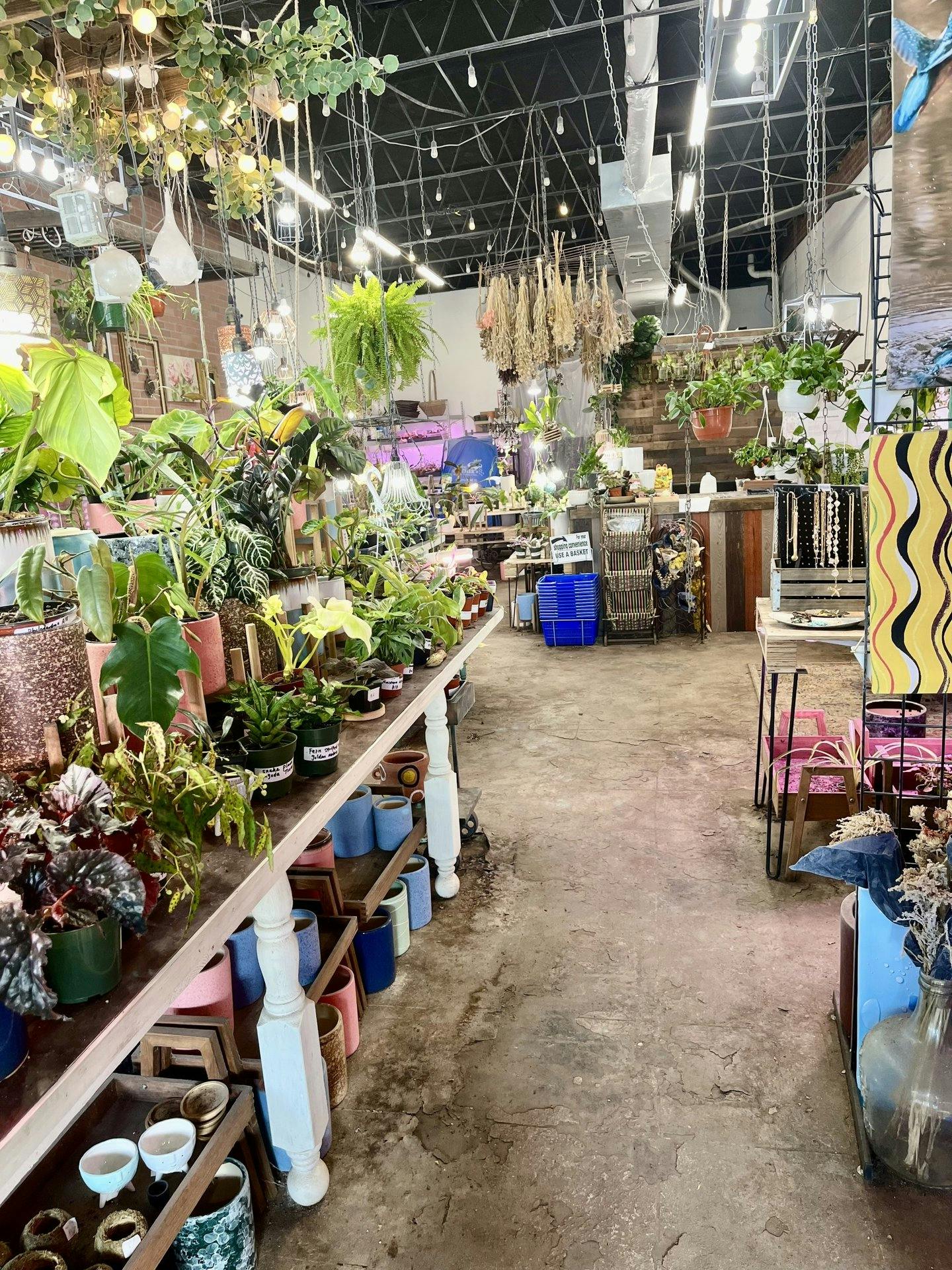 Boutique and Florist Shop on Union Street, Schenectady