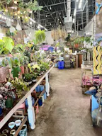 Boutique and florist shop at Union Street Schenectady - Image 3