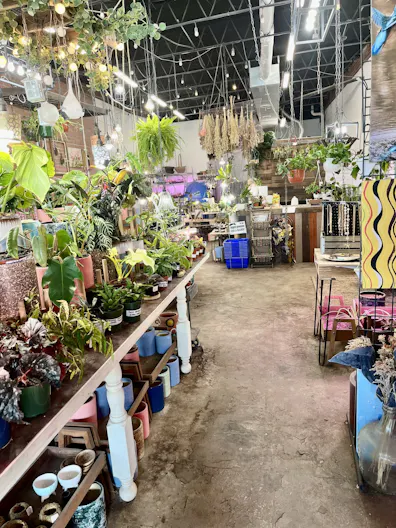 Boutique and florist shop at Union Street Schenectady - Image 3
