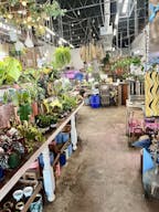 Boutique and florist shop at Union Street Schenectady - Image 3