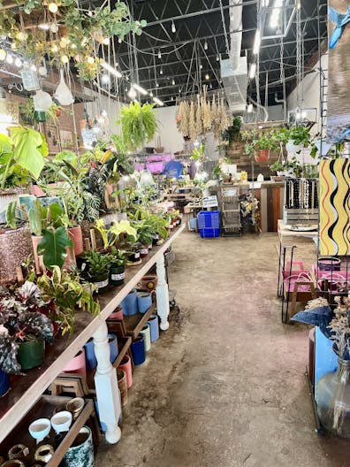 Boutique and florist shop at Union Street Schenectady - Image 3