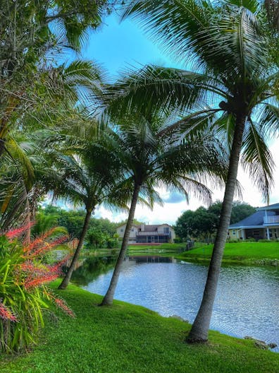 Oasis Shooting and Videos Productions Venue in Davie, FL - Image 1