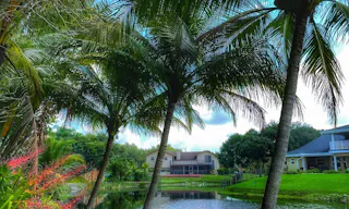 Oasis Shooting and Videos Productions Venue in Davie, FL - Image 1