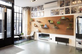 Showroom space under glass roof with natural light - Image 3