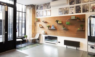 Showroom space under glass roof with natural light - Image 3