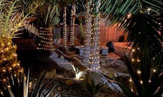 Vintage Train Car in Rustic Setting - Image 7