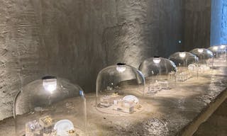 Prestigious Boutique in Le Marais - Image 8