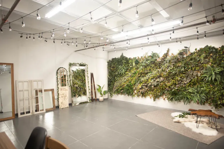 DTLA - Ivy Wall Studio with Mirrors - Image 3
