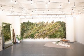 DTLA - Ivy Wall Studio with Mirrors - Image 4