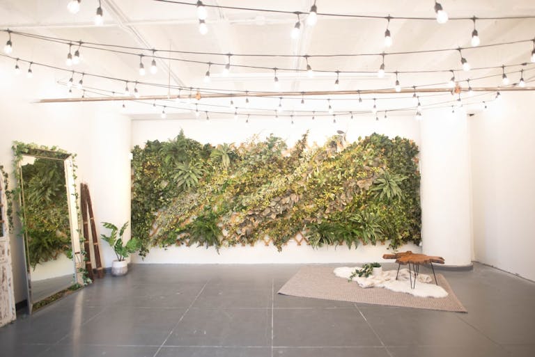 DTLA - Ivy Wall Studio with Mirrors - Image 4