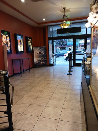 Marina District Chestnut St . POP UP - Image 0