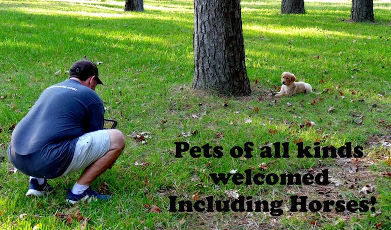 Epic Creative Co-Op - Woodlands Photo Studios - Image 4