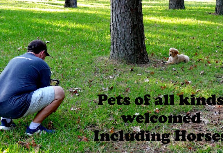 Epic Creative Co-Op - Woodlands Photo Studios - Image 4