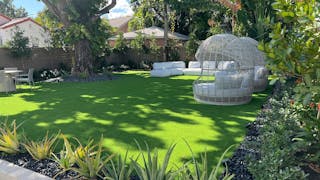 Beautifully Landscaped Backyard at Luxurious MedSpa - Design District - WiFi and Built-in Sound System - Image 5