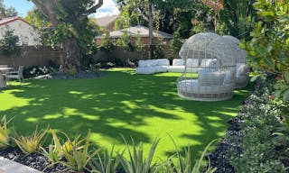 Beautifully Landscaped Backyard at Luxurious MedSpa - Design District - WiFi and Built-in Sound System - Image 5