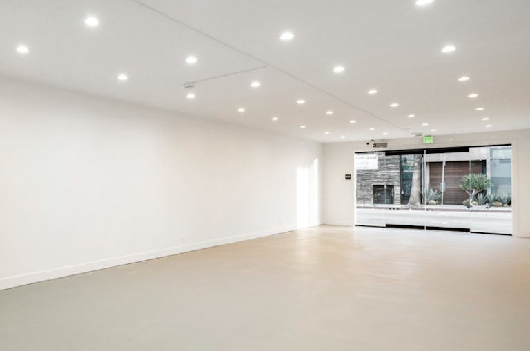 Art Gallery in Venice Beach - Image 2