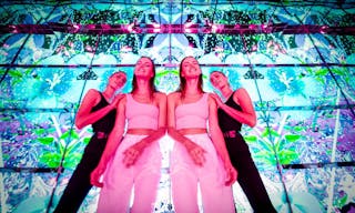 Immersive Art Experience Soho/Tribeca - Image 7