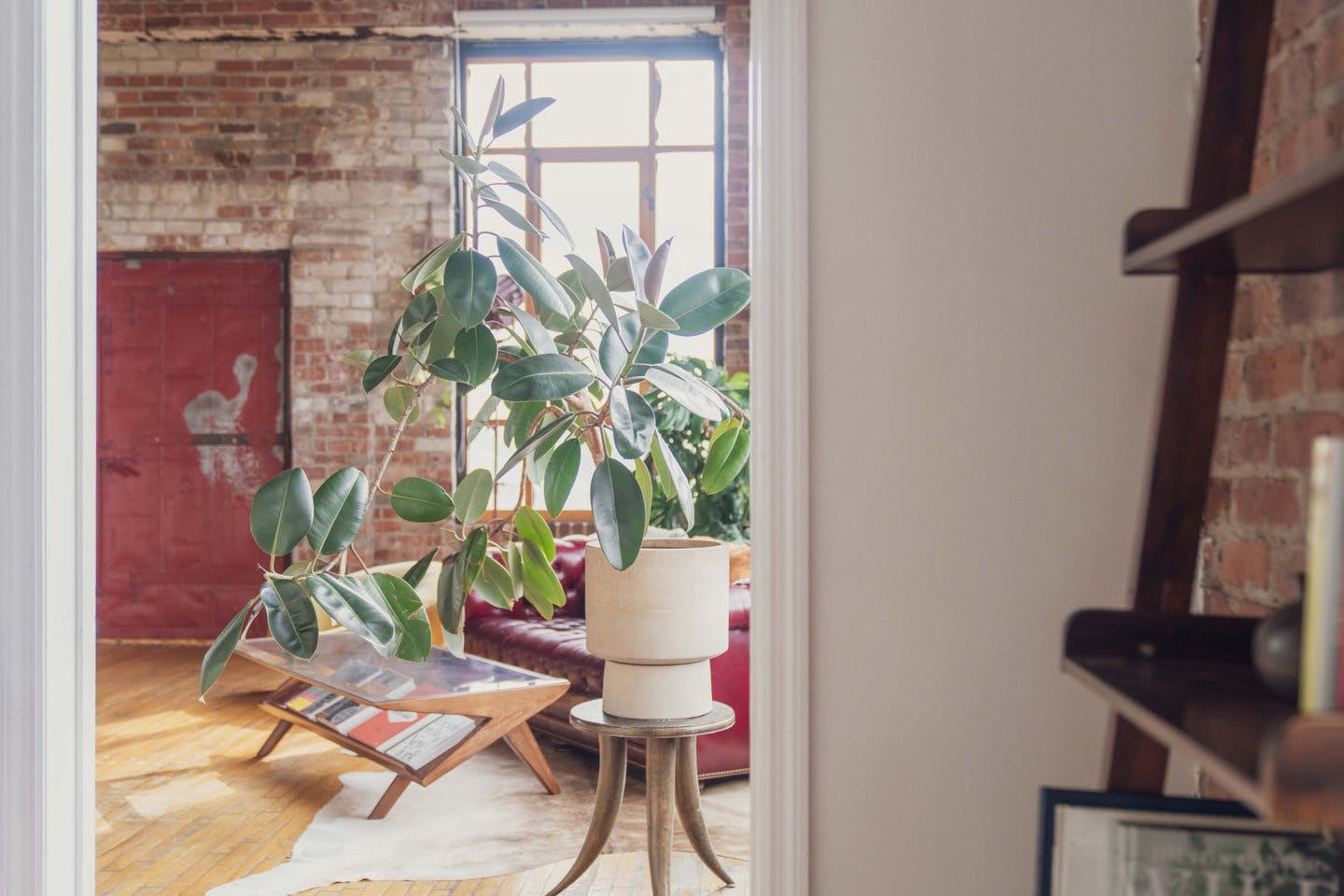 1,700 Sq Ft Industrial Corner Loft and Photo Studio in Brooklyn