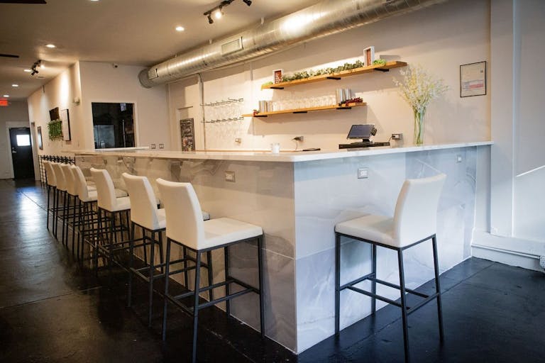 Distinctive Vines in The Cedars - Image 0