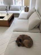 Elegant Espace minimaliste dans un Bâtiment Historique, Palais-Royal/ Louvre - Image 1