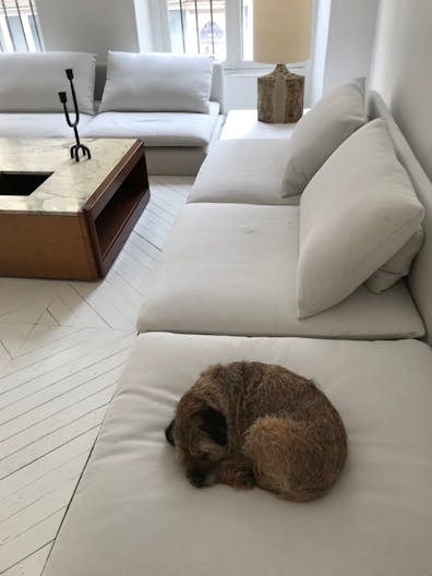 Elegant Espace minimaliste dans un Bâtiment Historique, Palais-Royal/ Louvre - Image 1