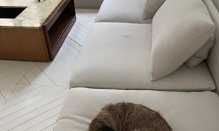 Elegant Espace minimaliste dans un Bâtiment Historique, Palais-Royal/ Louvre - Image 1