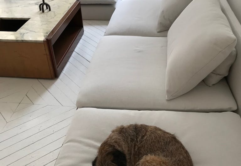 Elegant Espace minimaliste dans un Bâtiment Historique, Palais-Royal/ Louvre - Image 1