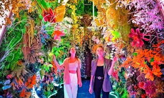 Immersive Art Experience Soho/Tribeca - Image 5