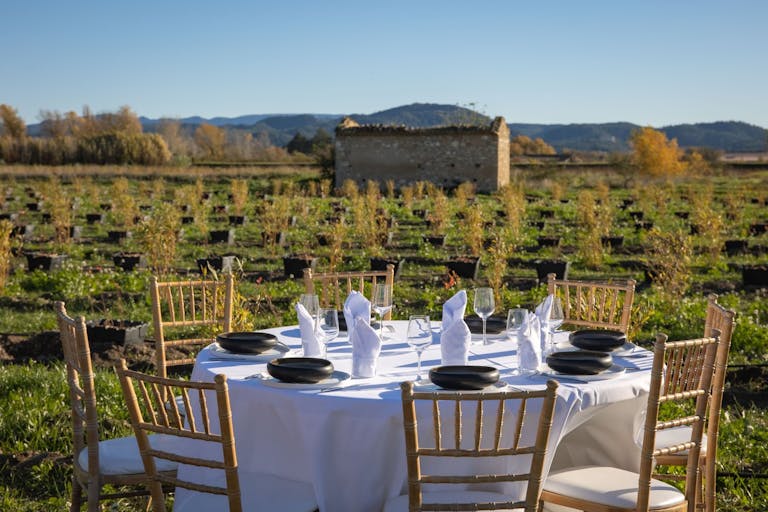 Le Domaine de la Myrtille en Provence - Image 2