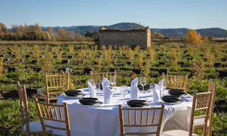 Le Domaine de la Myrtille en Provence - Image 2
