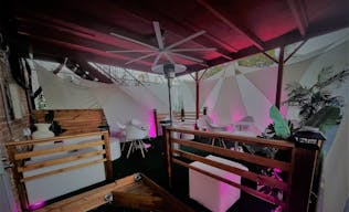 Distinctive Vines in The Cedars - Image 8