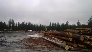 Open land for multiple events - Image 4