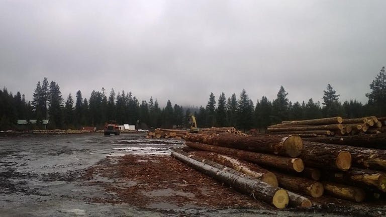 Open land for multiple events - Image 4