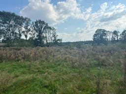 D�cor/Lieu de tournage: Prairie - Image 2