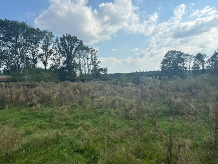 D�cor/Lieu de tournage: Prairie - Image 2