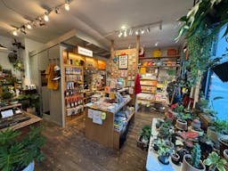 Pop-Up Perfect Space in Williamsburg – Shared with Trendy Bonsai Shop - Image 14