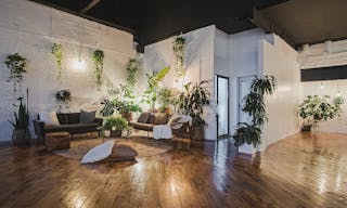 Sunny Plant Filled Dumbo Restored Warehouse // Perfect for Photo shoots/Dinner Parties/Events - Image 3