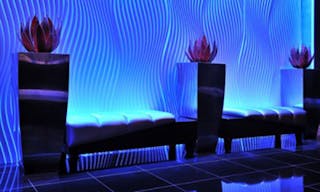 High Profile Upscale Lounge/Nightclub - Image 4