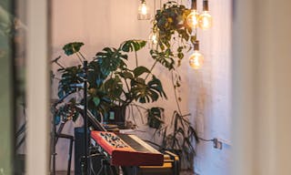 Sunny Plant Filled Dumbo Restored Warehouse // Perfect for Photo shoots/Dinner Parties/Events - Image 21