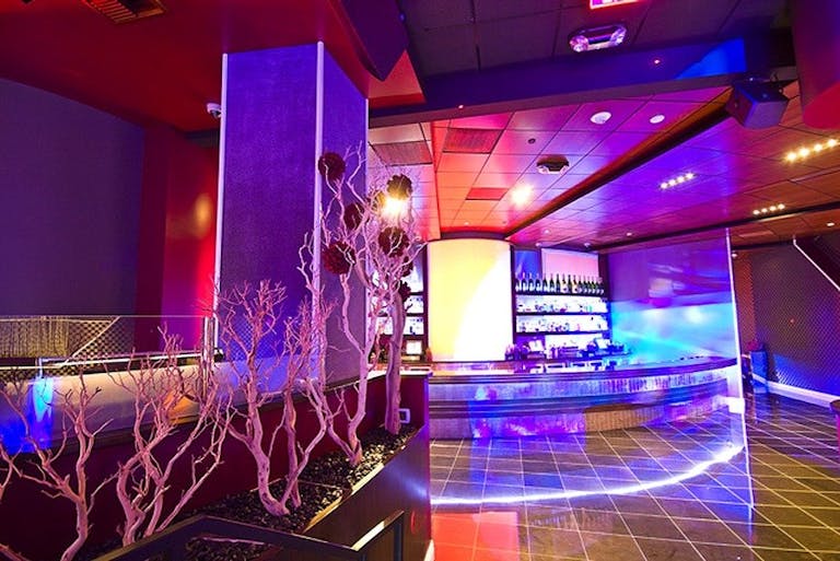High Profile Upscale Lounge/Nightclub - Image 0