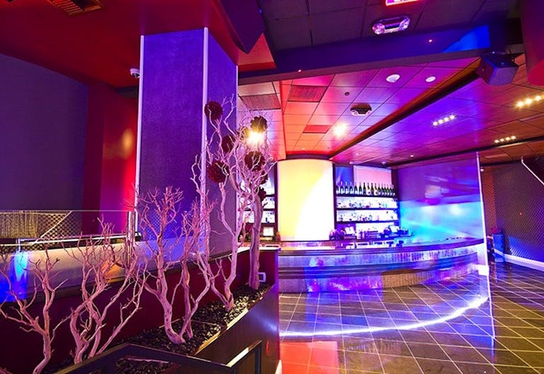 High Profile Upscale Lounge/Nightclub - Image 0